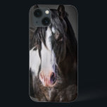 title_seo2 Retrato de caballo II<br><div class="desc">Animales</div>