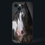 title_seo2 Retrato de caballo II<br><div class="desc">Animales</div>