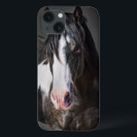 Funda Para iPhone 13 Retrato de caballo II<br><div class="desc">Animales</div>