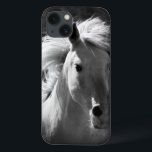 title_seo2 Retrato de caballo V<br><div class="desc">Animales</div>