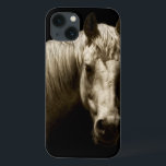 title_seo2 Retrato de caballo VI<br><div class="desc">Animales</div>