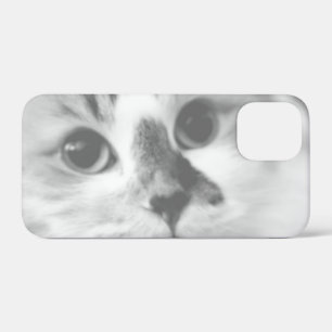title_seo2 Retrato de cierre de gato SUPER CUTE