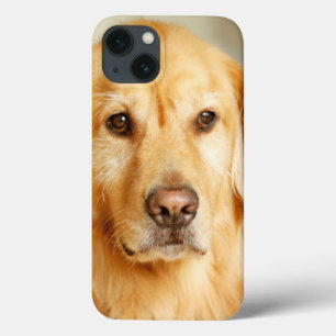 Funda Para iPhone 13 Retrato de Golden Retriever