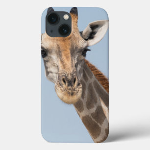 Funda Para iPhone 13 Retrato de jirafa angoleña