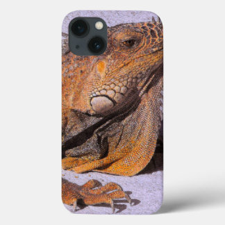 title_seo2 Retrato de la Iguana