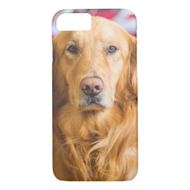 Funda De Case-Mate Para iPhone Retrato de perro de Golden Retriever (Reverso)