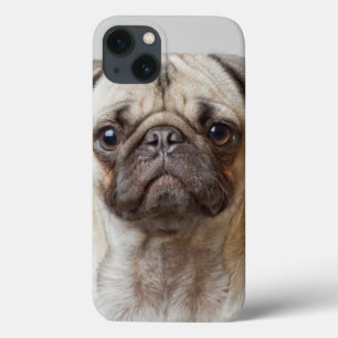 Funda Para iPhone 13 Retrato de Pug