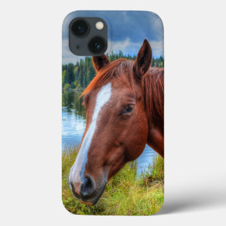 Funda Para iPhone 13 Retrato de Sorrel Mare y foto de Escenario Lake