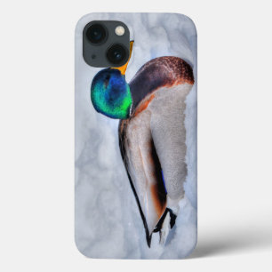 Funda Para iPhone 13 Retrato de vida silvestre Mallard Duck Drake