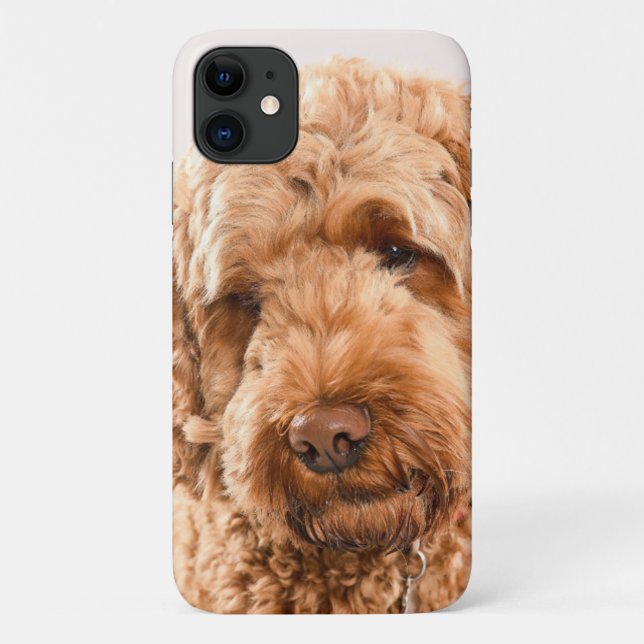Funda De Case-Mate Para iPhone Retrato Goldendoodle Studio (Reverso)
