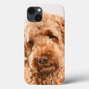 Funda Para iPhone 13 Retrato Goldendoodle Studio