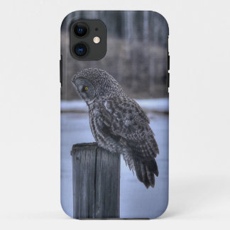 Funda Para iPhone 11 Retrato III de gran foto de lechuza gris sentada