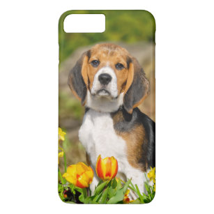 Funda Para iPhone 8 Plus/7 Plus Retrato lindo del perrito tricolor del beagle,
