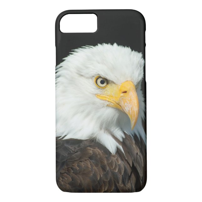 Funda De Case-Mate Para iPhone Retrato majestuoso de águila baldosa (Reverso)