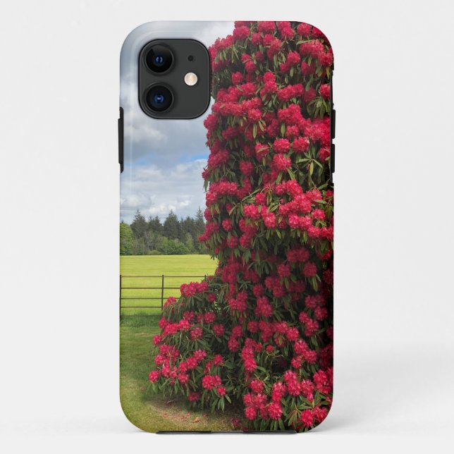 Funda De Case-Mate Para iPhone Rhododendron y vista escénica en Escocia (Reverso)