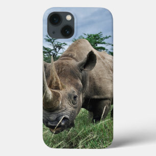 Funda Para iPhone 13 Rinoceronte negro   Kenia