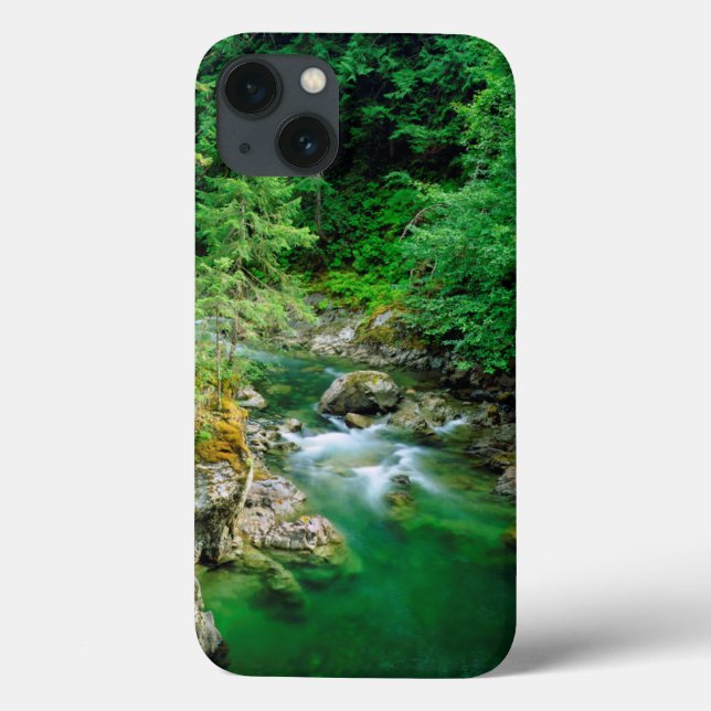 Funda De Case-Mate Para iPhone Río Qualicum (Reverso)