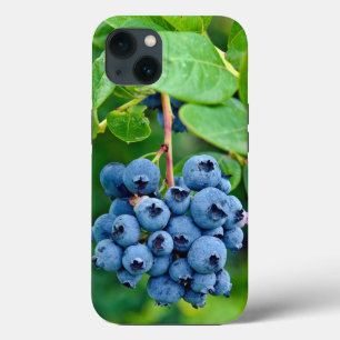 Funda Para iPhone 13 Ripe Blueberries Sobre Bush