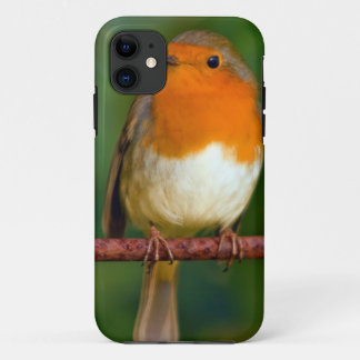 Funda Para iPhone 11 Robin Red Breast
