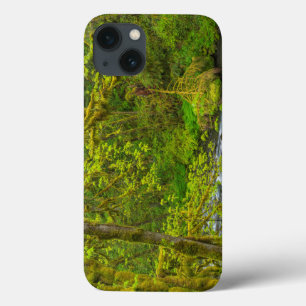 Funda Para iPhone 13 Rocas Mossy Y Árboles Lluvias De Águila