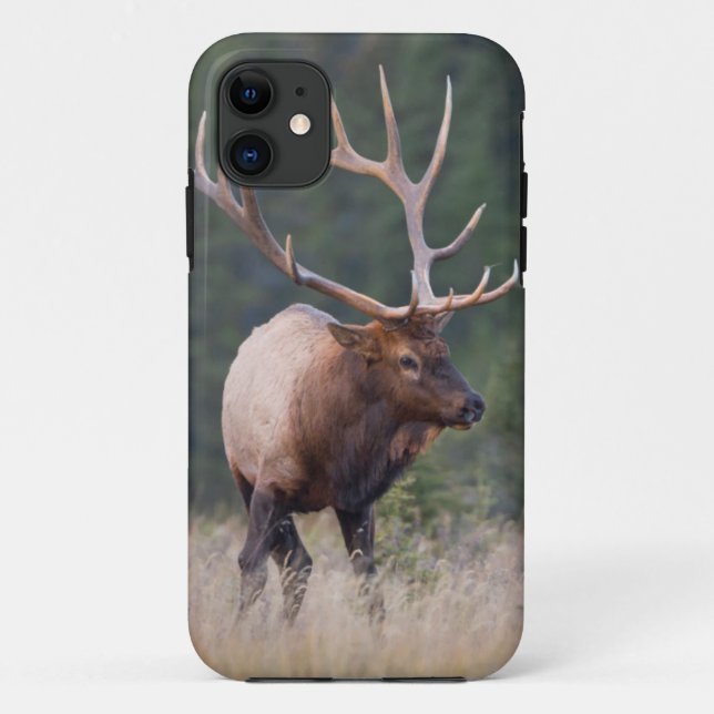 Funda De Case-Mate Para iPhone Rocky Mountain Elk (Reverso)