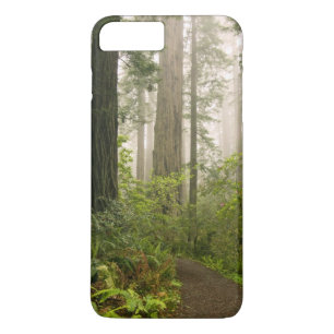 Funda Para iPhone 8 Plus/7 Plus Rododendros floreciendo entre las secuoyas costera