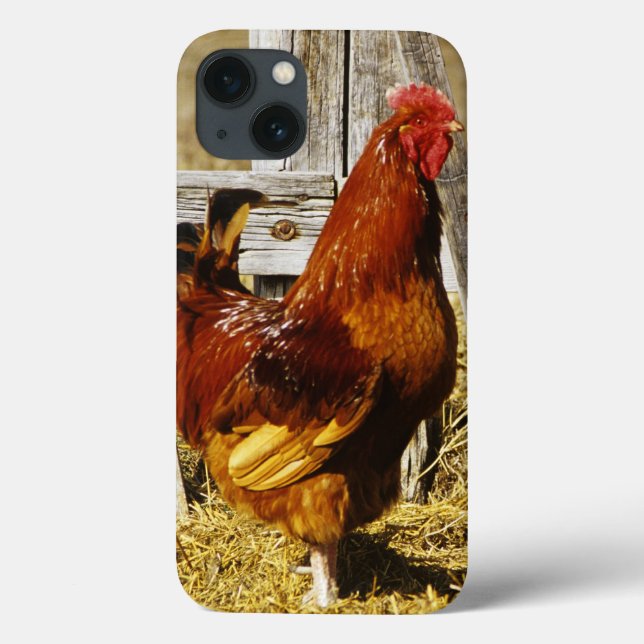 Funda De Case-Mate Para iPhone Rooster de Rhode Island (Reverso)