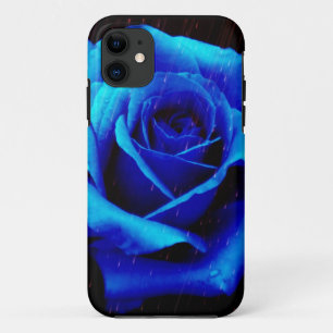 title_seo2 Rosa azul dramático