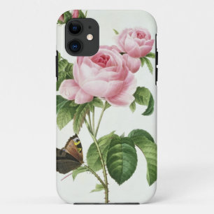 Funda Para iPhone 11 Rosa Centifolia