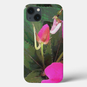 title_seo2 Rosa Fucsia