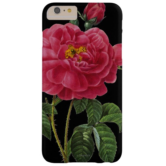 Funda De Case-Mate Para iPhone Rosa Gallica (Reverso)