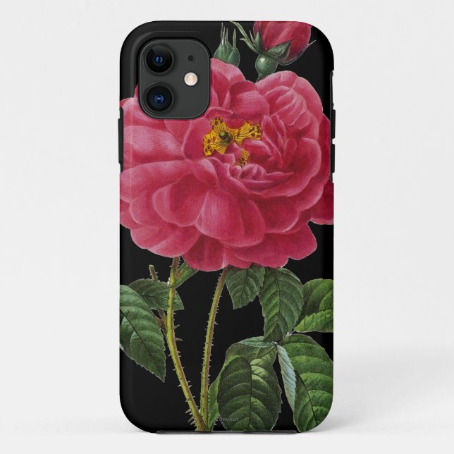 Funda De Case-Mate Para iPhone Rosa Gallica (Reverso)