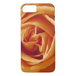title_seo2 Rosa naranja