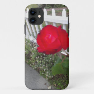 title_seo2 Rosa Red Solo
