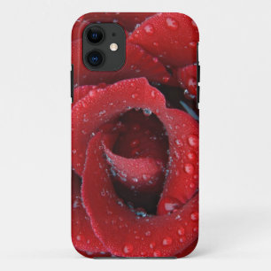 Funda Para iPhone 11 Rosa roja cubierta de rocío decorando un lugar de