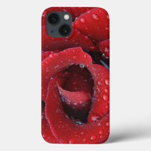 Funda Para iPhone 13 Rosa roja cubierta de rocío decorando un sitio fun