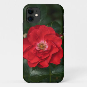 Funda Para iPhone 11 Rosa roja P6568