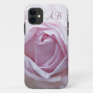 title_seo2 Rosa rosa rosa inicial