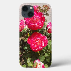 Funda Para iPhone 13 Rosas del Jardín Rojo