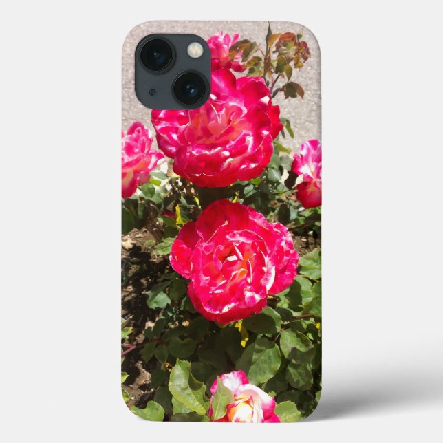 Funda De Case-Mate Para iPhone Rosas del Jardín Rojo (Reverso)