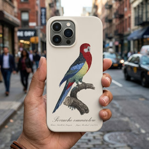 Funda Para iPhone 13 Pro Max Rosella oriental o perico Platycercus eximius
