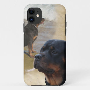 title_seo2 Rottweiler