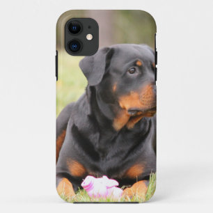 title_seo2 Rottweiler Dog