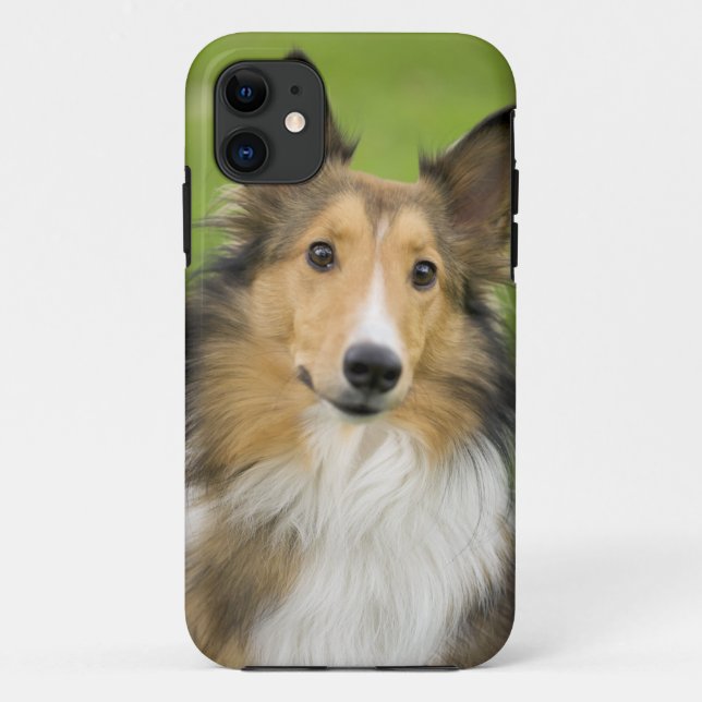 Funda De Case-Mate Para iPhone Rough Collie, perro (Reverso)