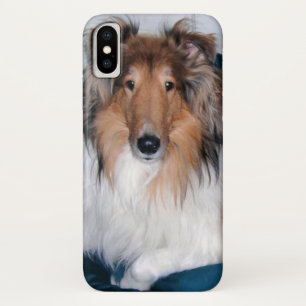title_seo2 Rough Sable Collie
