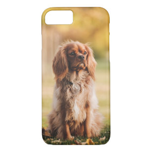 Funda Para iPhone 8/7 Ruby Cavalier Rey Carlos Español Perro