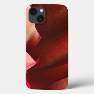 Funda Para iPhone 13 Rufos Rojos