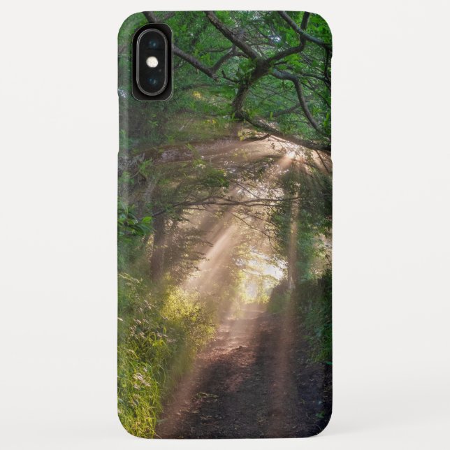 Funda De Case-Mate Para iPhone Ruta forestal (Reverso)