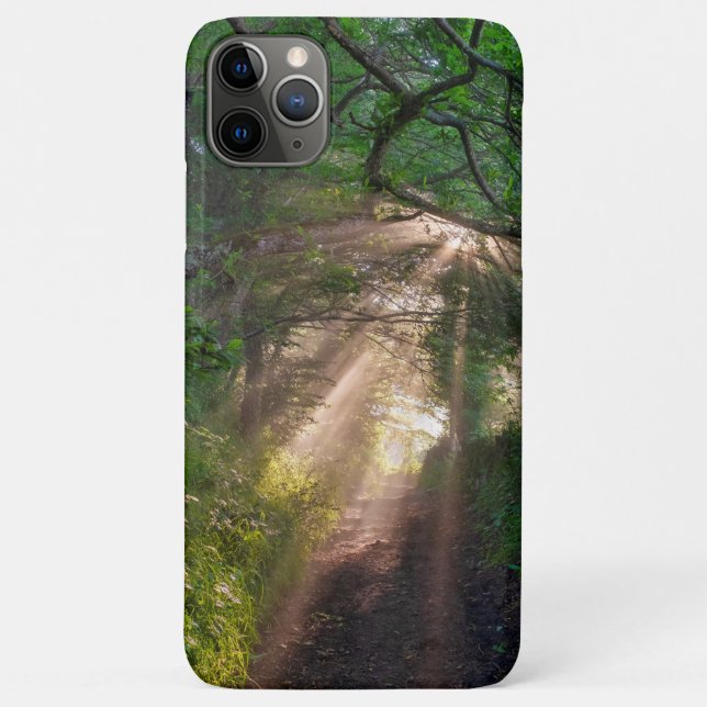 Funda De Case-Mate Para iPhone Ruta forestal (Reverso)