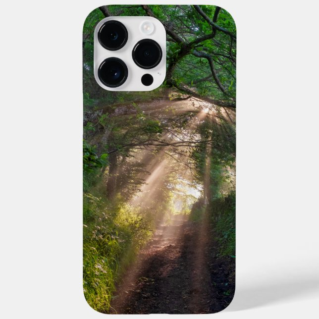 Funda De Case-Mate Para iPhone Ruta forestal (Reverso)